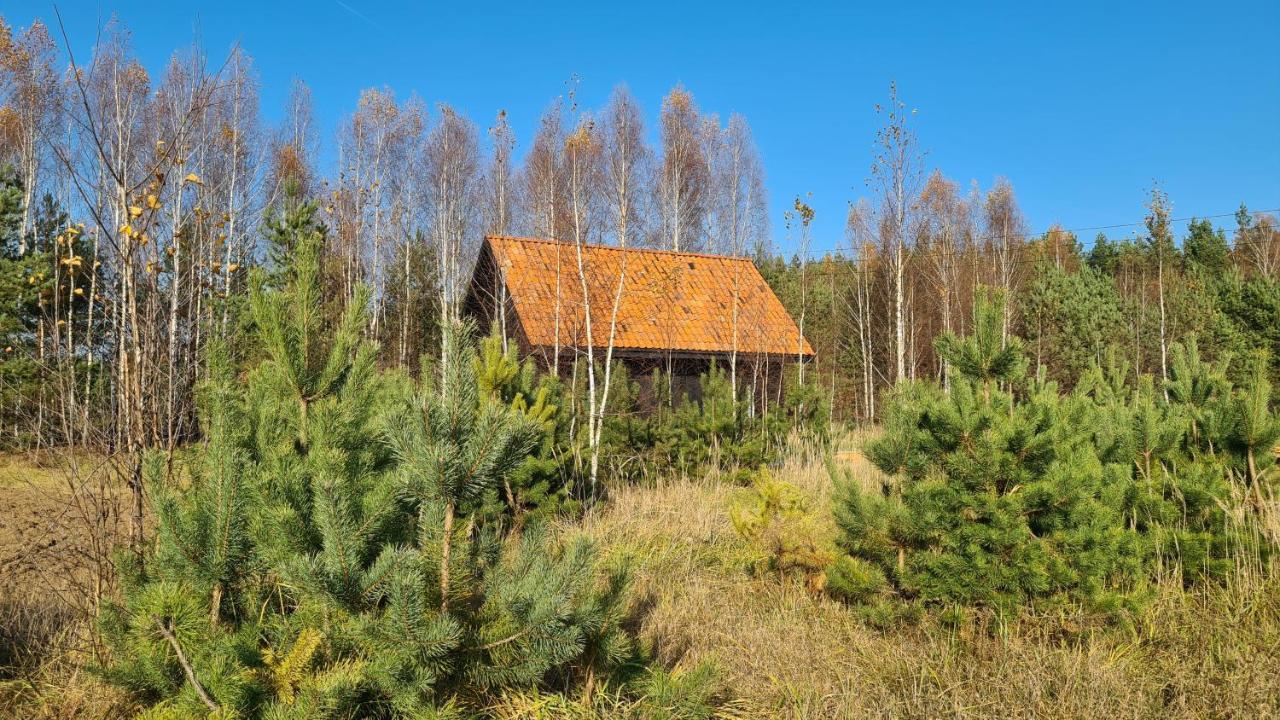 Zakole Czarnej Hanczy Tartaczysko Exterior foto